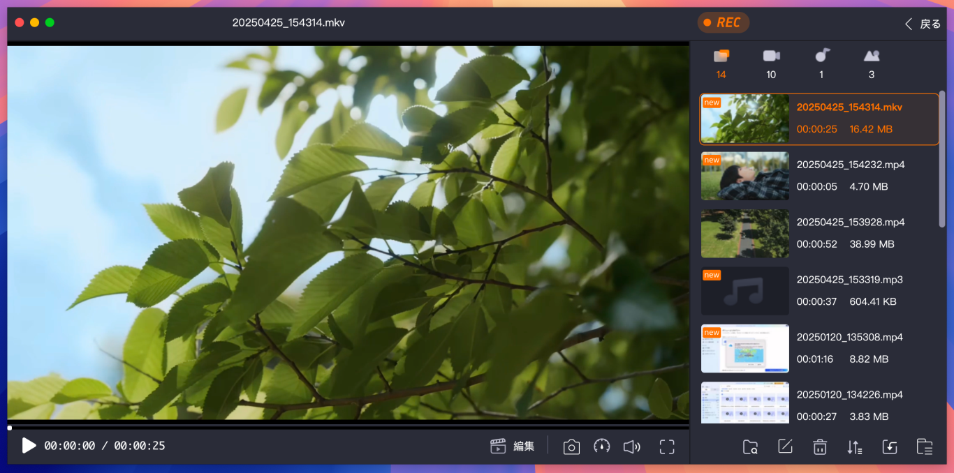 MKVファイルを再生する