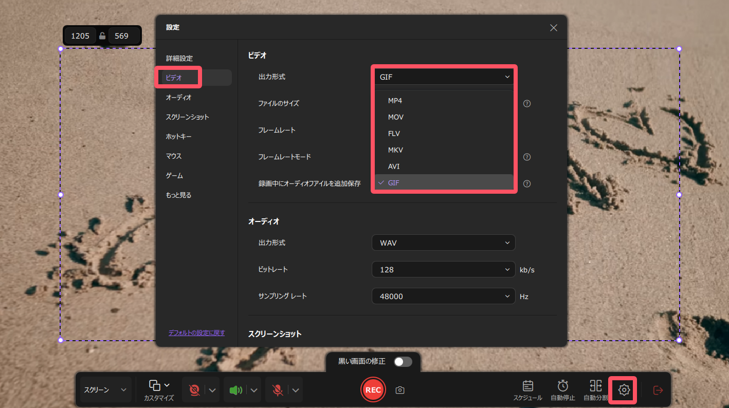 動画の出力形式を設定