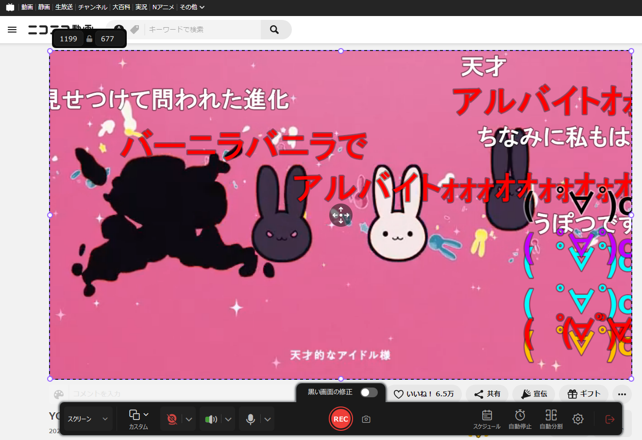 録画エリアを選択