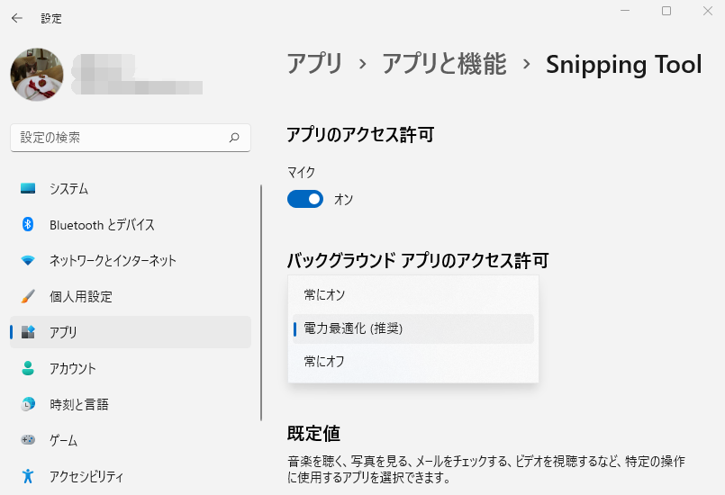 Snipping Toolの設定