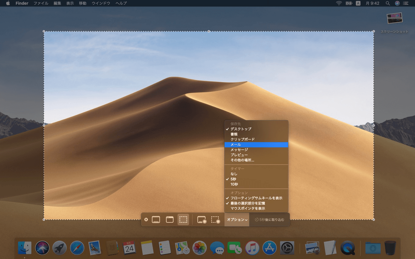 mac-os-mojave画面収録のオプション